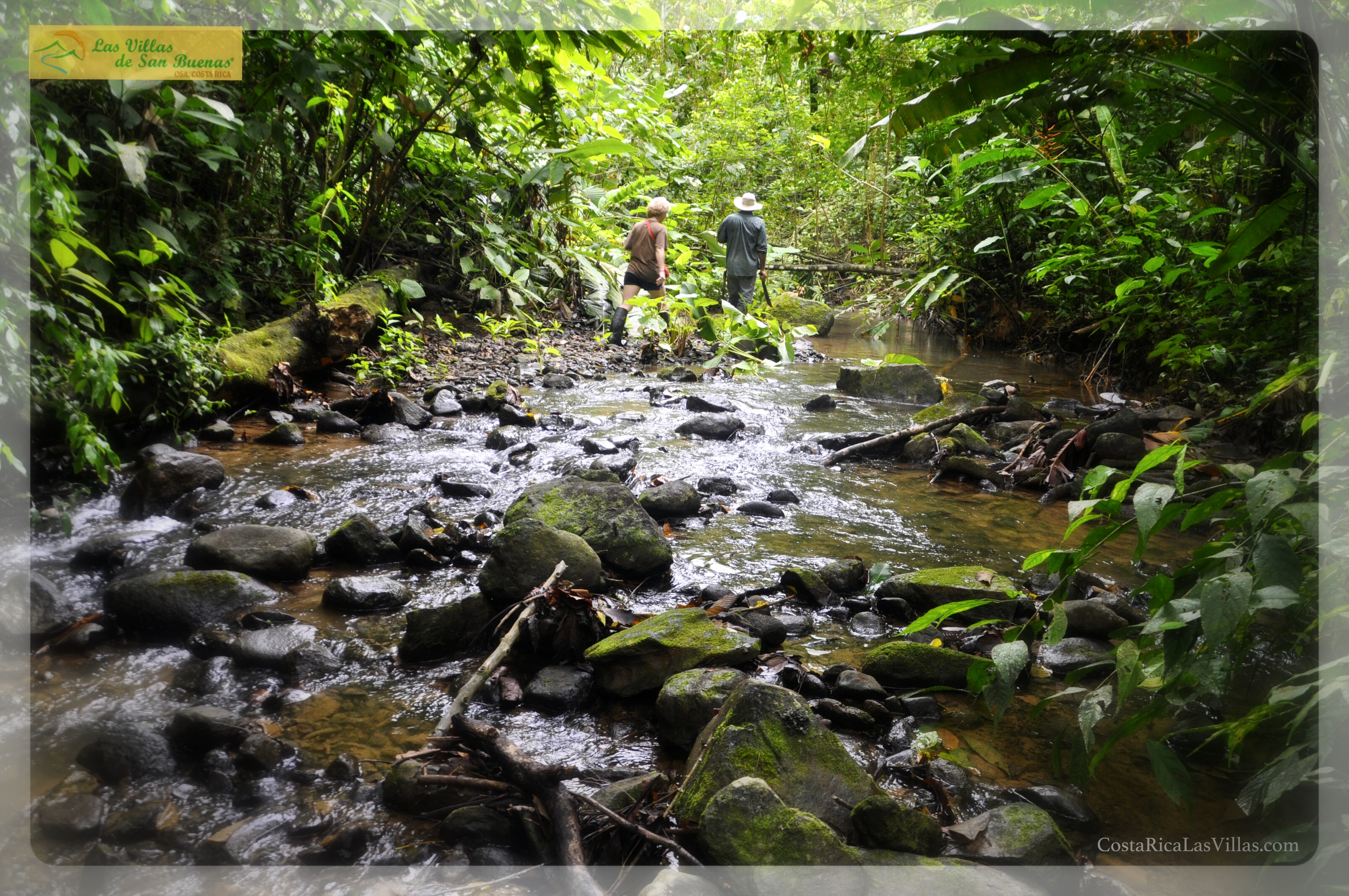 creek in costa rica with clients