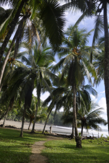 playa ventanas costa rica